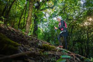 BIB: 
                            <button type="button" onclick="openModal(16015633)" class="btn btn-primary btn-sm float-right btn-popup" data-toggle="modal" data-target=".modal-high-quality">
                        <i class="fas fa-shopping-cart"></i> Add to Cart
                    </button>
                                            <button type="button" onclick="isThisMe(16015633, true)" class="btn btn-success btn-sm float-right btn-popup btn-isme hidden" data-toggle="tooltip" data-placement="bottom" title="นี่คือรูปของคุณใช่ไหม คลิกที่นี่เพื่อเอาเข้าอัลบั้ม">
                        <i class="fas fa-plus"></i> Add to album
                    </button>
                    <button type="button" onclick="isThisMe(16015633, false)" class="btn btn-warning btn-sm float-right btn-popup btn-isnotme hidden">
                        <i class="fas fa-ban"></i> Remove from album
                    </button>